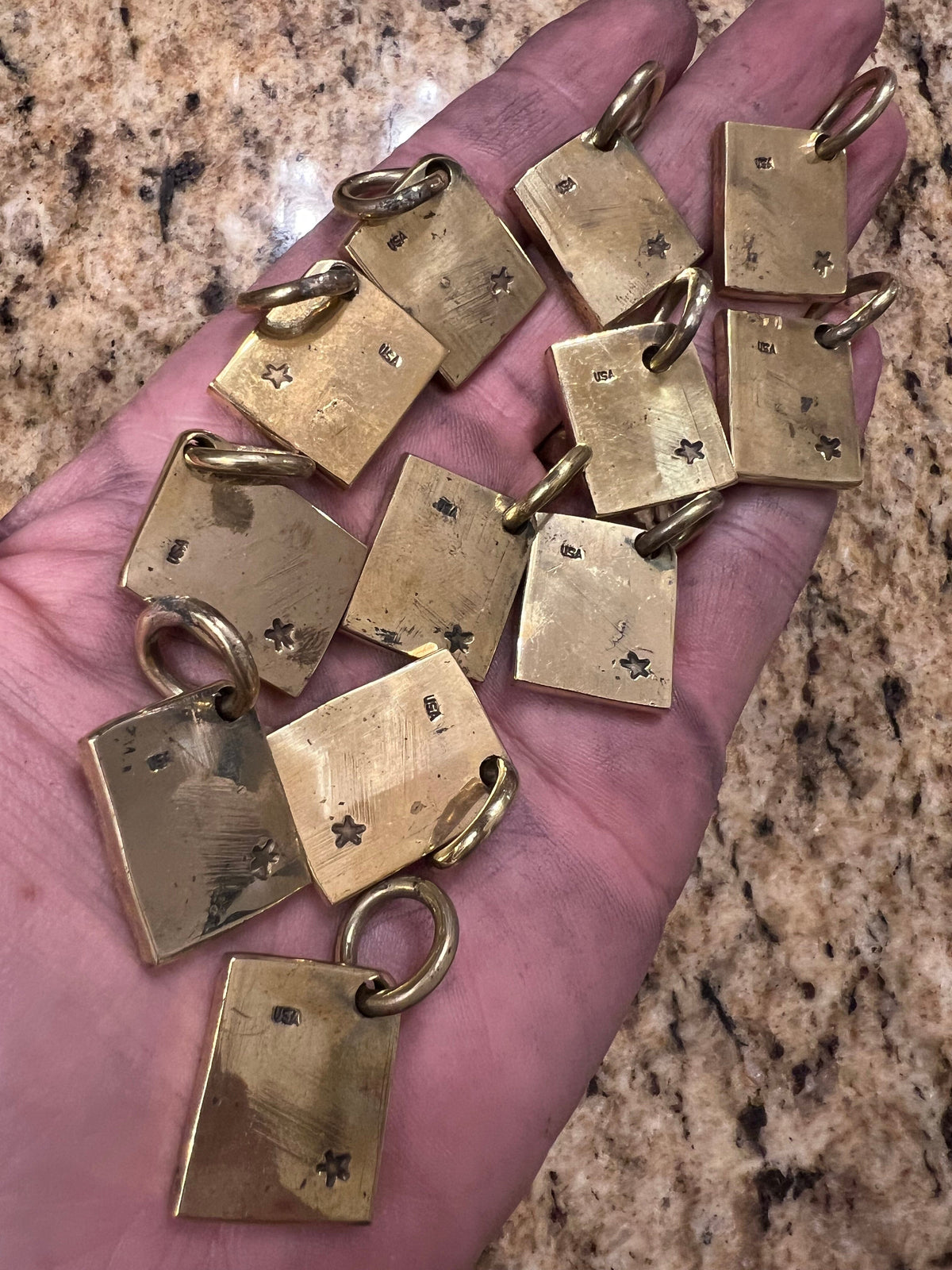 Brass Chain Tag/Pendant: Flatbiller Skull - Anvil Customs